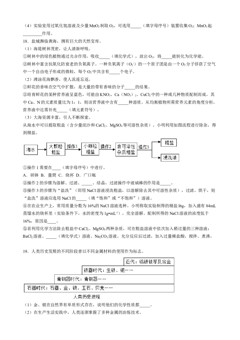 2019年江苏省盐城市中考化学真题（word版，含解析）_1、初中学习资料_2024秋改版_九上化学课件最新版_化学中考真题卷（2019-2023）_2019中考化学_江苏