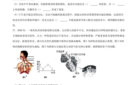 2020-2021学年七年级生物下学期期末仿真模拟冲刺卷（人教版）04（原卷版）_1、初中学习资料_4-6、生物_4-6-2、初一生物下册_期末试卷（7份）