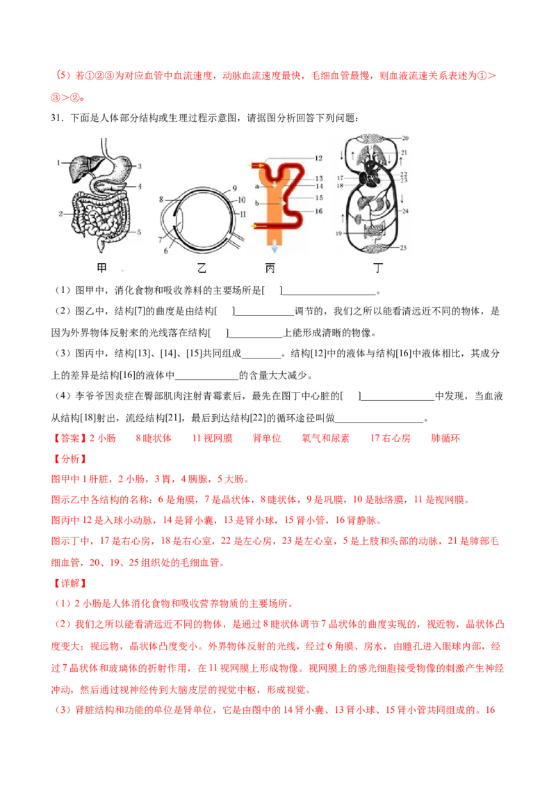 2020-2021学年七年级生物下学期期末仿真模拟冲刺卷（人教版）03（解析版）_1、初中学习资料_4-6、生物_4-6-2、初一生物下册_期末试卷（7份）