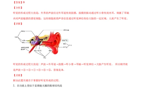 2020-2021学年七年级生物下学期期末仿真模拟冲刺卷（人教版）03（解析版）_1、初中学习资料_4-6、生物_4-6-2、初一生物下册_期末试卷（7份）