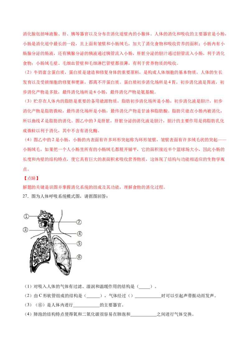 2020-2021学年七年级生物下学期期末仿真模拟冲刺卷（人教版）01（解析版）_1、初中学习资料_4-6、生物_4-6-2、初一生物下册_期末试卷（7份）