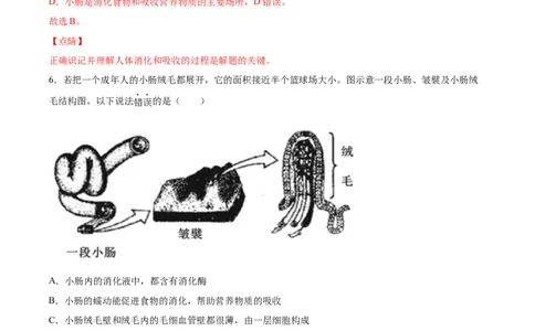 2020-2021学年七年级生物下学期期末仿真模拟冲刺卷（人教版）01（解析版）_1、初中学习资料_4-6、生物_4-6-2、初一生物下册_期末试卷（7份）