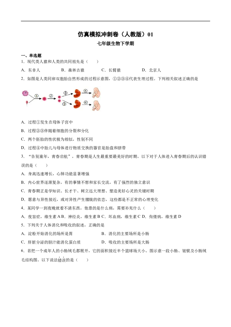 2020-2021学年七年级生物下学期期末仿真模拟冲刺卷（人教版）01（原卷版）_1、初中学习资料_4-6、生物_4-6-2、初一生物下册_期末试卷（7份）