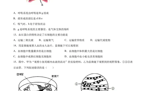 2020-2021学年七年级生物下学期期末仿真模拟冲刺卷（人教版）01（原卷版）_1、初中学习资料_4-6、生物_4-6-2、初一生物下册_期末试卷（7份）
