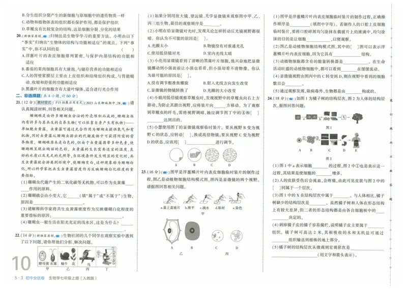 2025《53全优卷》生物7上(RJ)_1、初中学习资料_24秋试卷_（41205）期末冲刺2025《53全优卷》小四门7上(人教)_2025《53全优卷》生物7上(RJ)