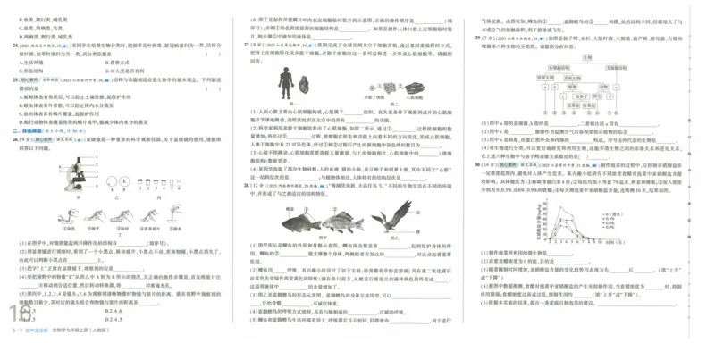 2025《53全优卷》生物7上(RJ)_1、初中学习资料_24秋试卷_（41205）期末冲刺2025《53全优卷》小四门7上(人教)_2025《53全优卷》生物7上(RJ)