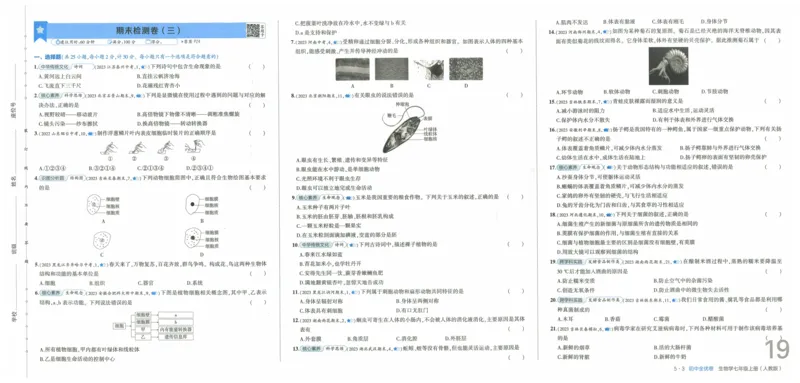 2025《53全优卷》生物7上(RJ)_1、初中学习资料_24秋试卷_（41205）期末冲刺2025《53全优卷》小四门7上(人教)_2025《53全优卷》生物7上(RJ)