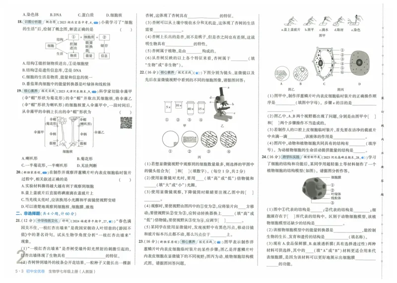 2025《53全优卷》生物7上(RJ)_1、初中学习资料_24秋试卷_（41205）期末冲刺2025《53全优卷》小四门7上(人教)_2025《53全优卷》生物7上(RJ)