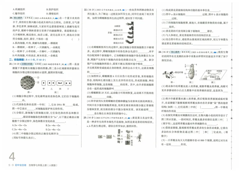 2025《53全优卷》生物7上(RJ)_1、初中学习资料_24秋试卷_（41205）期末冲刺2025《53全优卷》小四门7上(人教)_2025《53全优卷》生物7上(RJ)