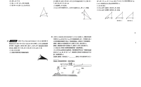2025《初中上分卷&bull;单元诊断自查》数学8上(BS)_1、初中学习资料_24秋试卷_2024秋初中必刷题上分卷九科电子版_数学（人教+北师大）