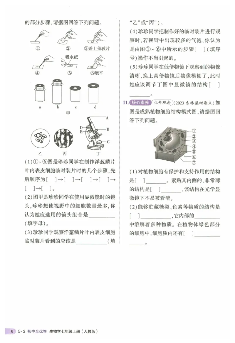 2025《53全优卷&bull;集训卷》生物7上(RJ)_1、初中学习资料_24秋试卷_（41205）期末冲刺2025《53全优卷》小四门7上(人教)_2025《53全优卷》生物7上(RJ)