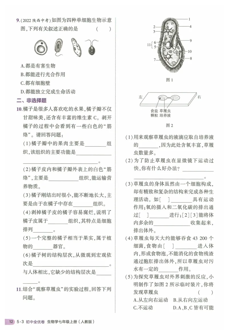 2025《53全优卷&bull;集训卷》生物7上(RJ)_1、初中学习资料_24秋试卷_（41205）期末冲刺2025《53全优卷》小四门7上(人教)_2025《53全优卷》生物7上(RJ)
