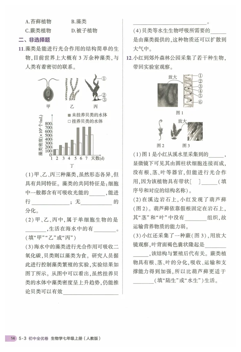 2025《53全优卷&bull;集训卷》生物7上(RJ)_1、初中学习资料_24秋试卷_（41205）期末冲刺2025《53全优卷》小四门7上(人教)_2025《53全优卷》生物7上(RJ)
