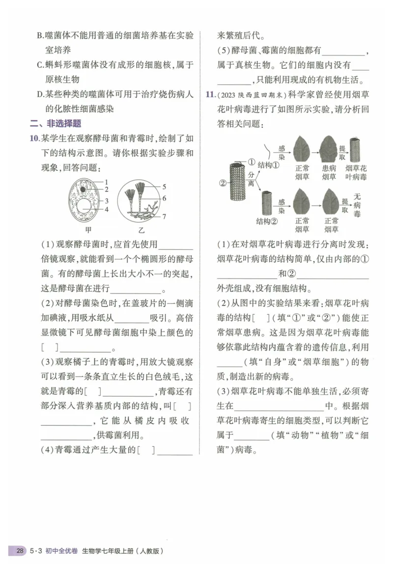 2025《53全优卷&bull;集训卷》生物7上(RJ)_1、初中学习资料_24秋试卷_（41205）期末冲刺2025《53全优卷》小四门7上(人教)_2025《53全优卷》生物7上(RJ)
