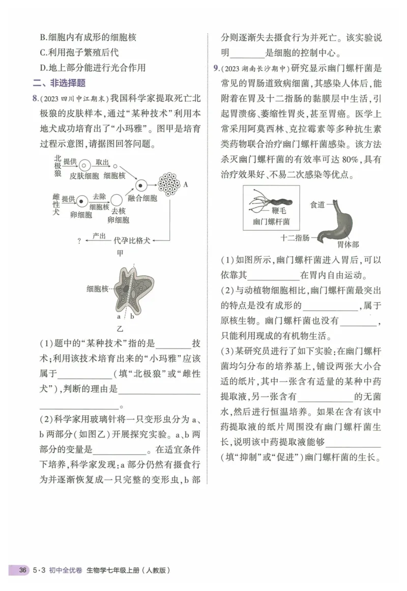 2025《53全优卷&bull;集训卷》生物7上(RJ)_1、初中学习资料_24秋试卷_（41205）期末冲刺2025《53全优卷》小四门7上(人教)_2025《53全优卷》生物7上(RJ)