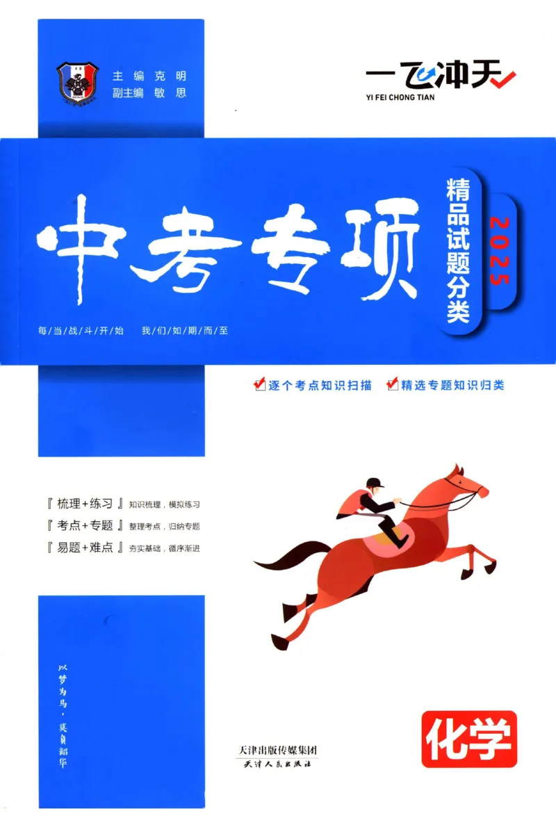 2025《一飞冲天-中考专项》化学_1、初中学习资料_24秋试卷_《一飞冲天-中考专项》_一飞冲天-中考专项（2025版）