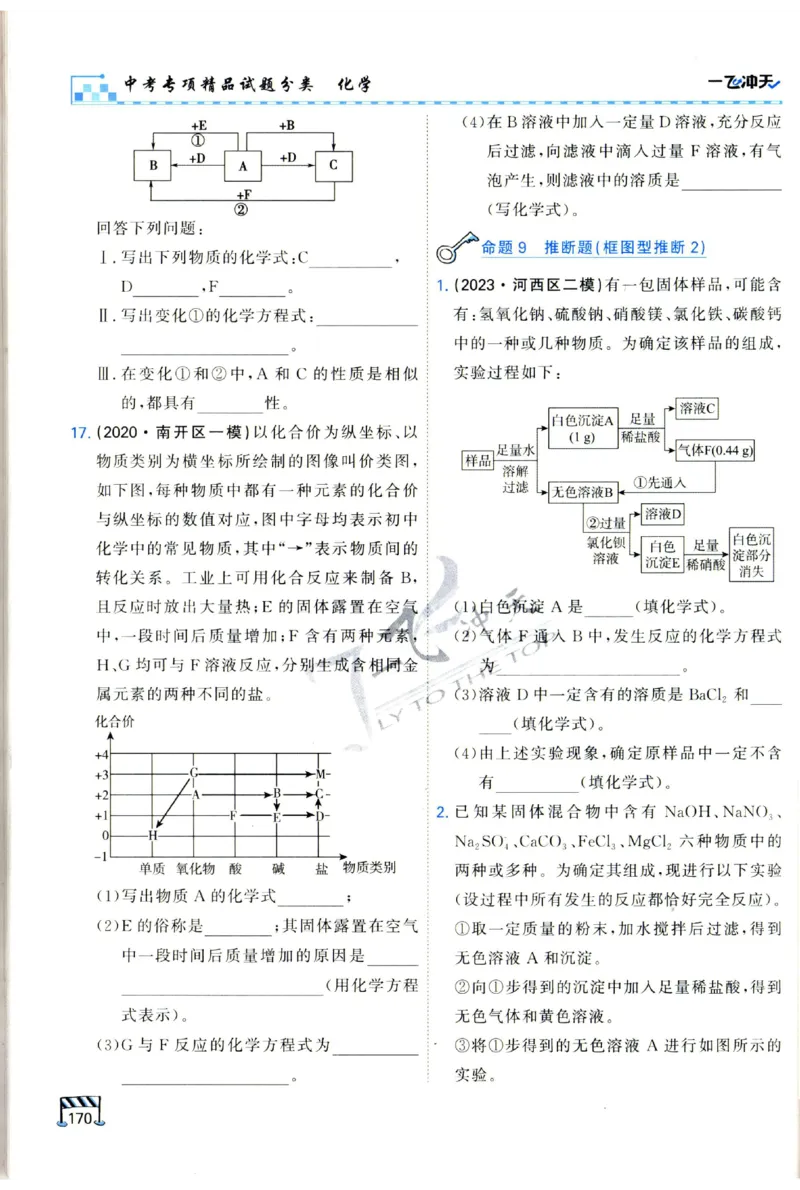 2025《一飞冲天-中考专项》化学_1、初中学习资料_24秋试卷_《一飞冲天-中考专项》_一飞冲天-中考专项（2025版）
