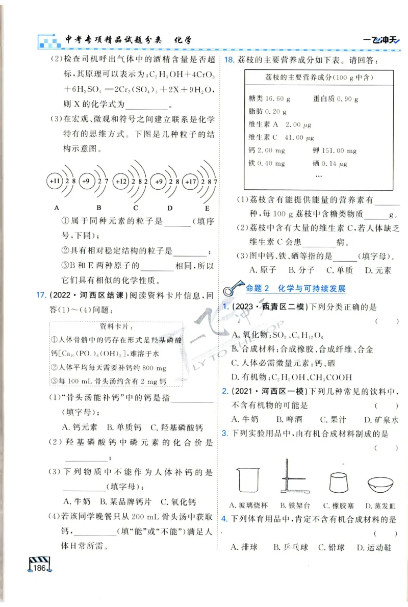 2025《一飞冲天-中考专项》化学_1、初中学习资料_24秋试卷_《一飞冲天-中考专项》_一飞冲天-中考专项（2025版）