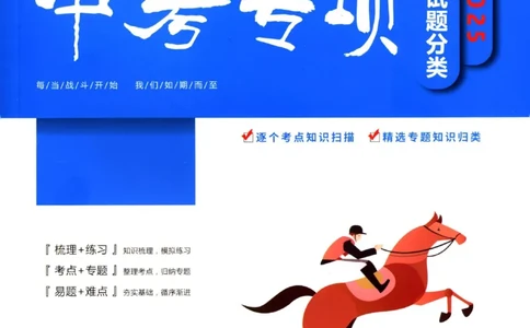 2025《一飞冲天-中考专项》化学_1、初中学习资料_24秋试卷_《一飞冲天-中考专项》_一飞冲天-中考专项（2025版）