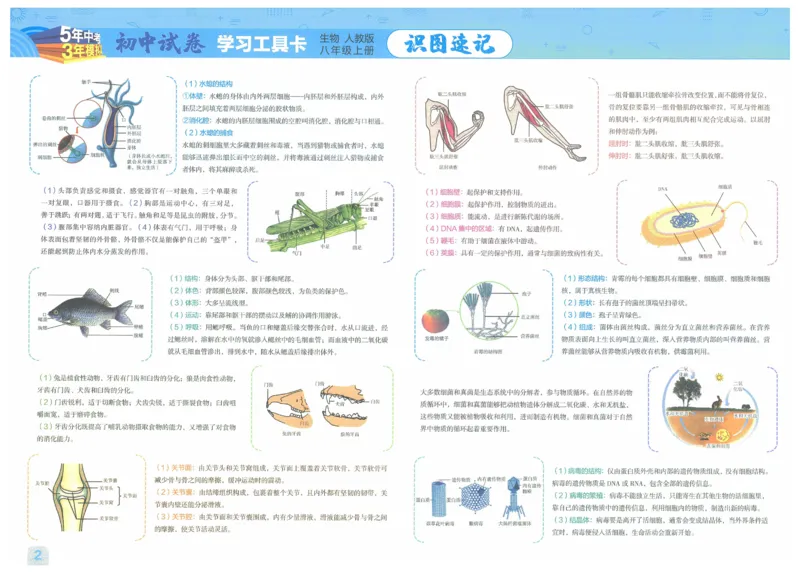 2025《53初中试卷》生物8上(人教版)_1、初中学习资料_24秋试卷_202553系列初中789年级上册《53初中试卷》大全套_2025《53初中试卷》8年级上册八科