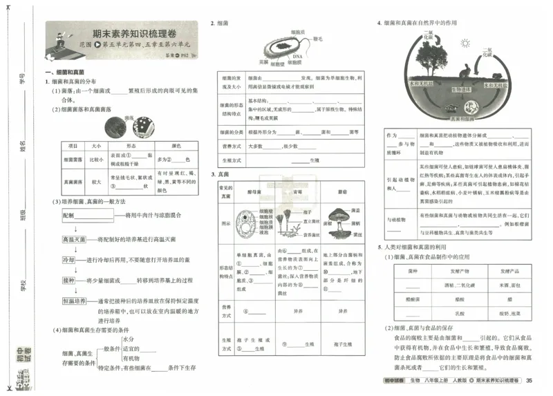 2025《53初中试卷》生物8上(人教版)_1、初中学习资料_24秋试卷_202553系列初中789年级上册《53初中试卷》大全套_2025《53初中试卷》8年级上册八科