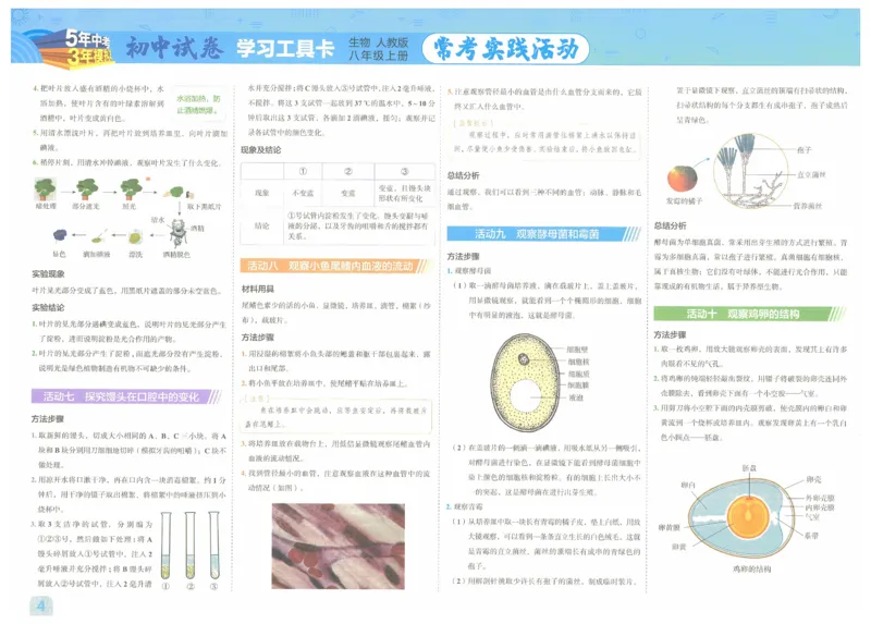 2025《53初中试卷》生物8上(人教版)_1、初中学习资料_24秋试卷_202553系列初中789年级上册《53初中试卷》大全套_2025《53初中试卷》8年级上册八科