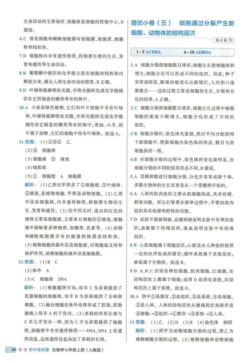 2025《53全优卷》生物7上(RJ)答案_1、初中学习资料_24秋试卷_（41205）期末冲刺2025《53全优卷》小四门7上(人教)_2025《53全优卷》生物7上(RJ)