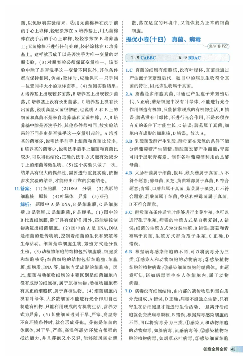 2025《53全优卷》生物7上(RJ)答案_1、初中学习资料_24秋试卷_（41205）期末冲刺2025《53全优卷》小四门7上(人教)_2025《53全优卷》生物7上(RJ)