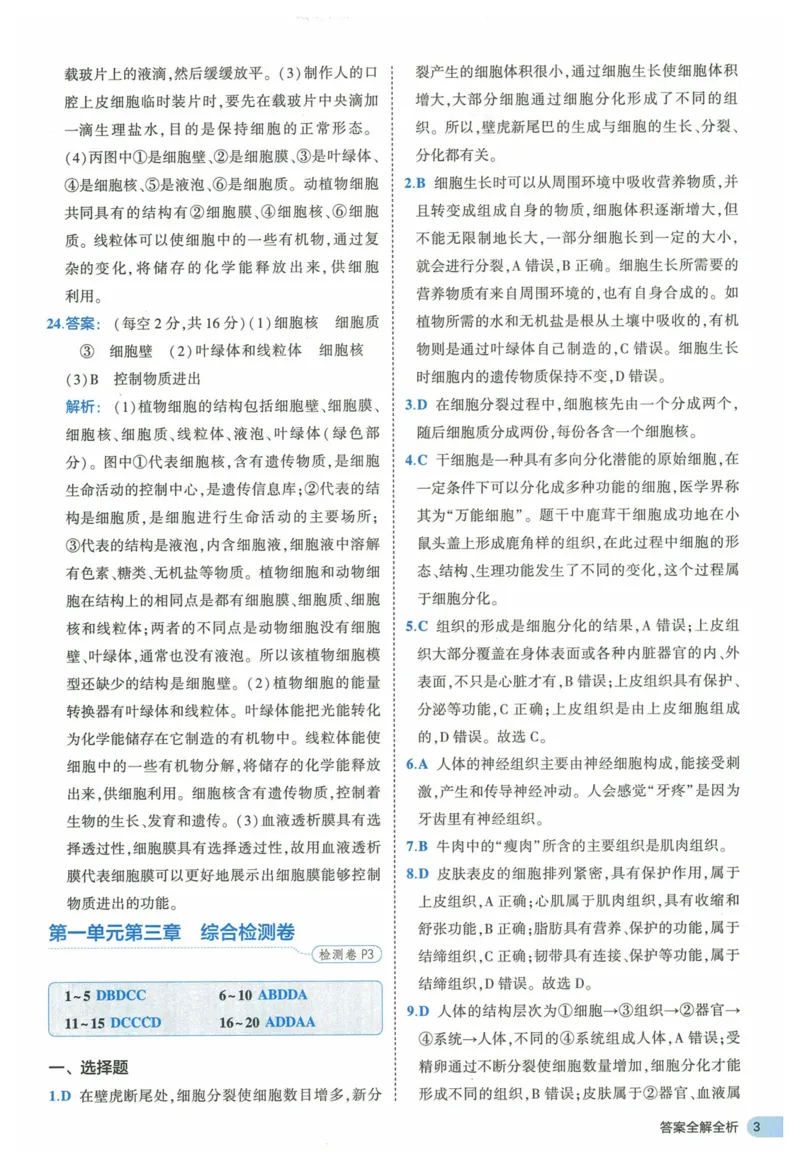 2025《53全优卷》生物7上(RJ)答案_1、初中学习资料_24秋试卷_（41205）期末冲刺2025《53全优卷》小四门7上(人教)_2025《53全优卷》生物7上(RJ)