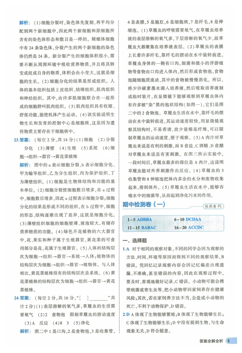 2025《53全优卷》生物7上(RJ)答案_1、初中学习资料_24秋试卷_（41205）期末冲刺2025《53全优卷》小四门7上(人教)_2025《53全优卷》生物7上(RJ)