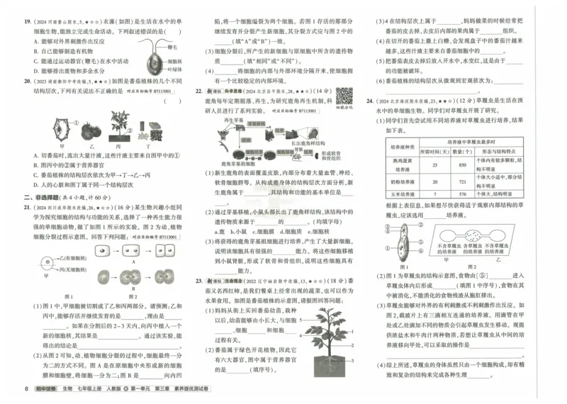 2025《53初中试卷》生物7上(人教版)_1、初中学习资料_24秋试卷_202553系列初中789年级上册《53初中试卷》大全套_2025《53初中试卷》7年级上册七科