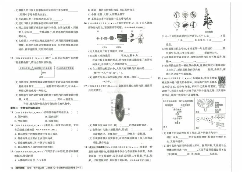 2025《53初中试卷》生物7上(人教版)_1、初中学习资料_24秋试卷_202553系列初中789年级上册《53初中试卷》大全套_2025《53初中试卷》7年级上册七科