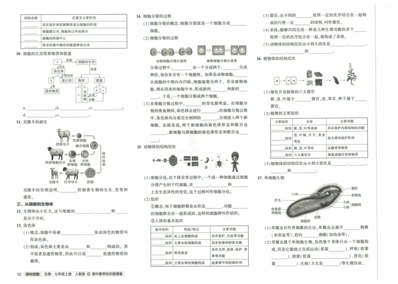 2025《53初中试卷》生物7上(人教版)_1、初中学习资料_24秋试卷_202553系列初中789年级上册《53初中试卷》大全套_2025《53初中试卷》7年级上册七科