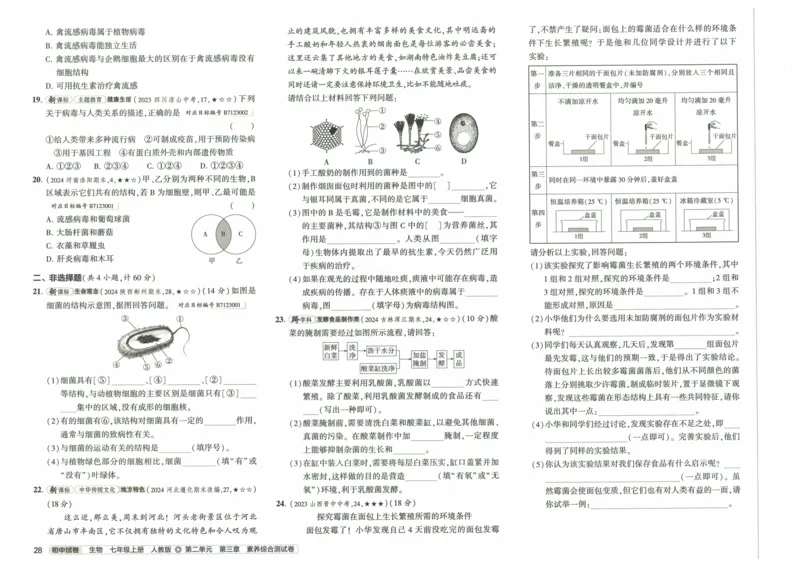2025《53初中试卷》生物7上(人教版)_1、初中学习资料_24秋试卷_202553系列初中789年级上册《53初中试卷》大全套_2025《53初中试卷》7年级上册七科