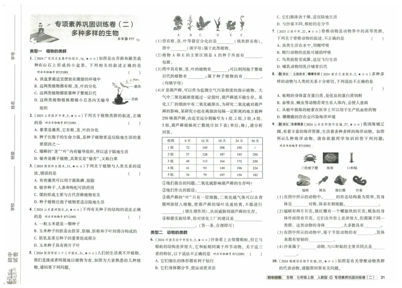 2025《53初中试卷》生物7上(人教版)_1、初中学习资料_24秋试卷_202553系列初中789年级上册《53初中试卷》大全套_2025《53初中试卷》7年级上册七科