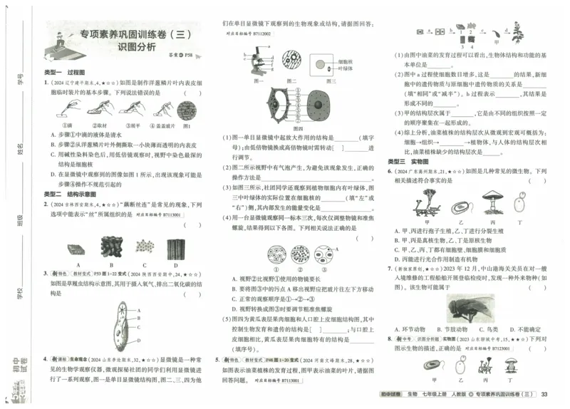 2025《53初中试卷》生物7上(人教版)_1、初中学习资料_24秋试卷_202553系列初中789年级上册《53初中试卷》大全套_2025《53初中试卷》7年级上册七科