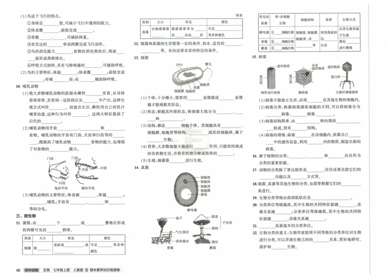 2025《53初中试卷》生物7上(人教版)_1、初中学习资料_24秋试卷_202553系列初中789年级上册《53初中试卷》大全套_2025《53初中试卷》7年级上册七科