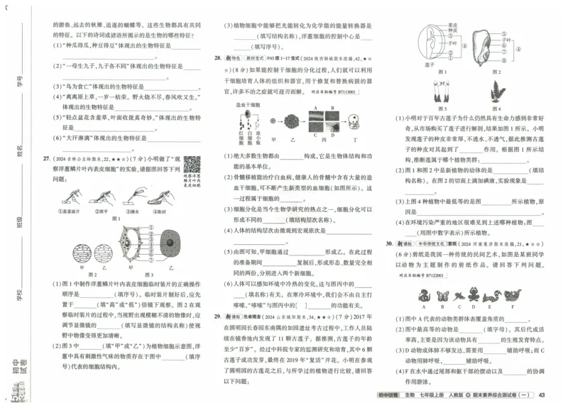2025《53初中试卷》生物7上(人教版)_1、初中学习资料_24秋试卷_202553系列初中789年级上册《53初中试卷》大全套_2025《53初中试卷》7年级上册七科