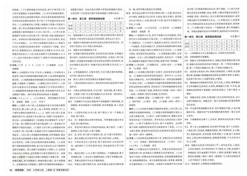 2025《53初中试卷》生物7上(人教版)_1、初中学习资料_24秋试卷_202553系列初中789年级上册《53初中试卷》大全套_2025《53初中试卷》7年级上册七科
