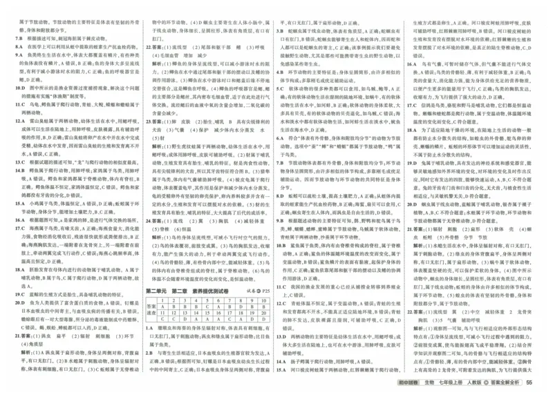 2025《53初中试卷》生物7上(人教版)_1、初中学习资料_24秋试卷_202553系列初中789年级上册《53初中试卷》大全套_2025《53初中试卷》7年级上册七科