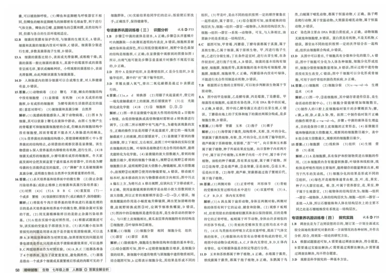 2025《53初中试卷》生物7上(人教版)_1、初中学习资料_24秋试卷_202553系列初中789年级上册《53初中试卷》大全套_2025《53初中试卷》7年级上册七科