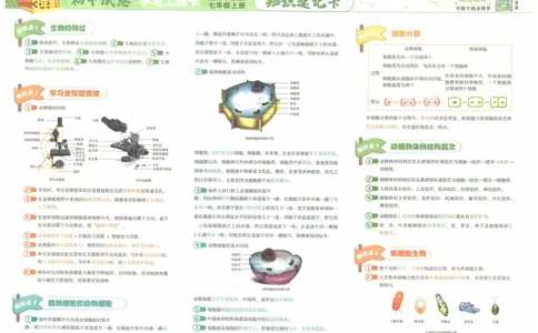 2025《53初中试卷》生物7上(人教版)_1、初中学习资料_24秋试卷_202553系列初中789年级上册《53初中试卷》大全套_2025《53初中试卷》7年级上册七科