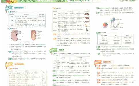 2025《53初中试卷》生物7上(人教版)_1、初中学习资料_24秋试卷_202553系列初中789年级上册《53初中试卷》大全套_2025《53初中试卷》7年级上册七科