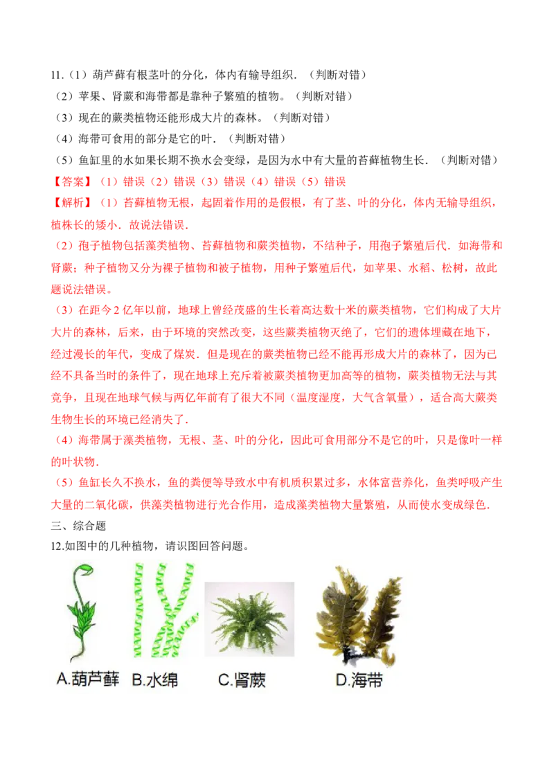 3.1.1藻类、苔藓和蕨类植物（习题）-2022-2023学年七年级生物上册同步优质备课资源（人教版）（解析版）_1、初中学习资料_4-6、生物_4-6-1、初一生物上册_同步练习-138份