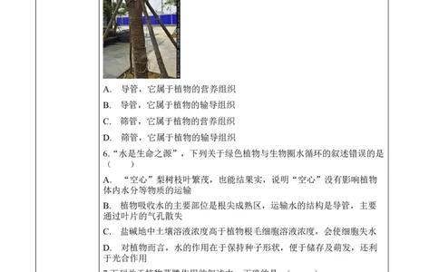 3.3绿色植物与生物圈的水循环（学案）-2022-2023学年七年级生物上册同步优质备课资源（人教版）_1、初中学习资料_4-6、生物_4-6-1、初一生物上册_同步练习-138份_1、同步第1套新更新23份