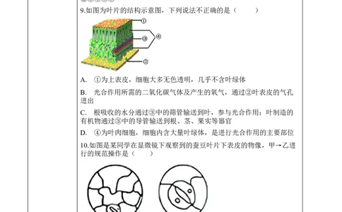 3.3绿色植物与生物圈的水循环（学案）-2022-2023学年七年级生物上册同步优质备课资源（人教版）_1、初中学习资料_4-6、生物_4-6-1、初一生物上册_同步练习-138份_1、同步第1套新更新23份