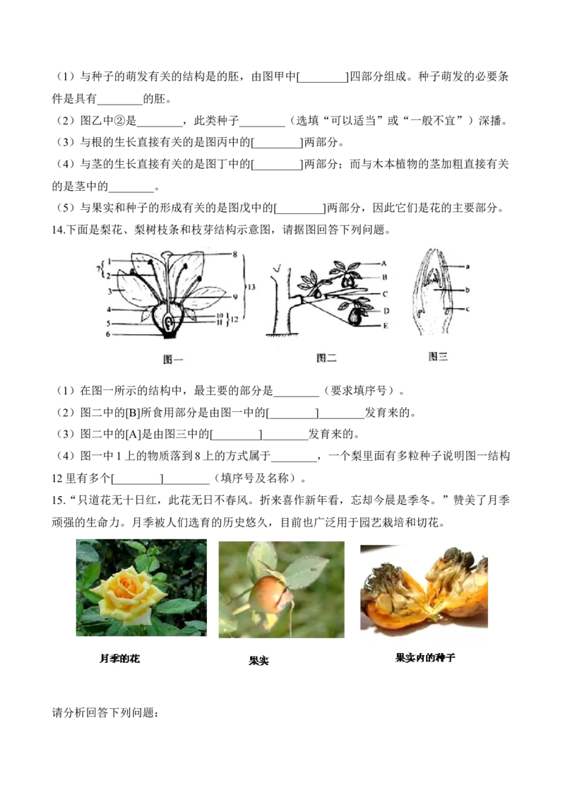 3.2.3开花和结果（习题）-2022-2023学年七年级生物上册同步优质备课资源（人教版）（原卷版）_1、初中学习资料_4-6、生物_4-6-1、初一生物上册_同步练习-138份_1、同步第1套新更新23份