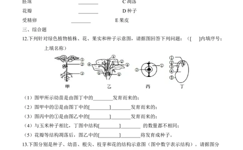 3.2.3开花和结果（习题）-2022-2023学年七年级生物上册同步优质备课资源（人教版）（原卷版）_1、初中学习资料_4-6、生物_4-6-1、初一生物上册_同步练习-138份_1、同步第1套新更新23份