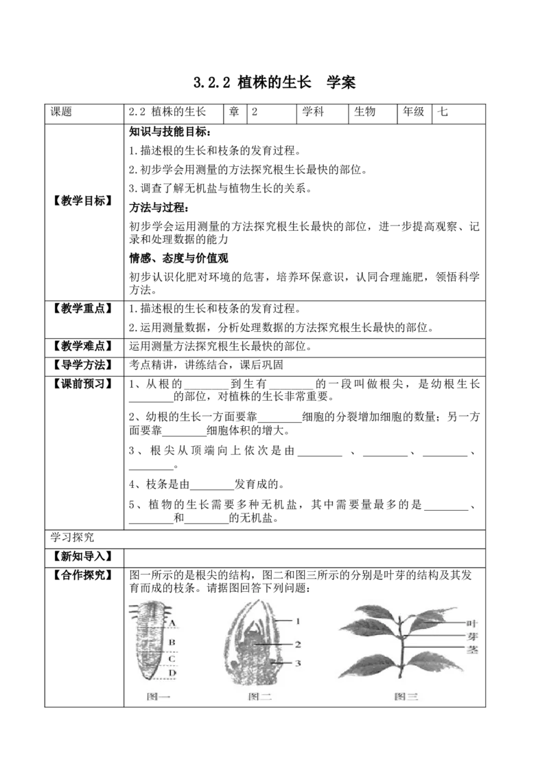 3.2.2植株的生长（学案）-2022-2023学年七年级生物上册同步优质备课资源（人教版）_1、初中学习资料_4-6、生物_4-6-1、初一生物上册_同步练习-138份_1、同步第1套新更新23份
