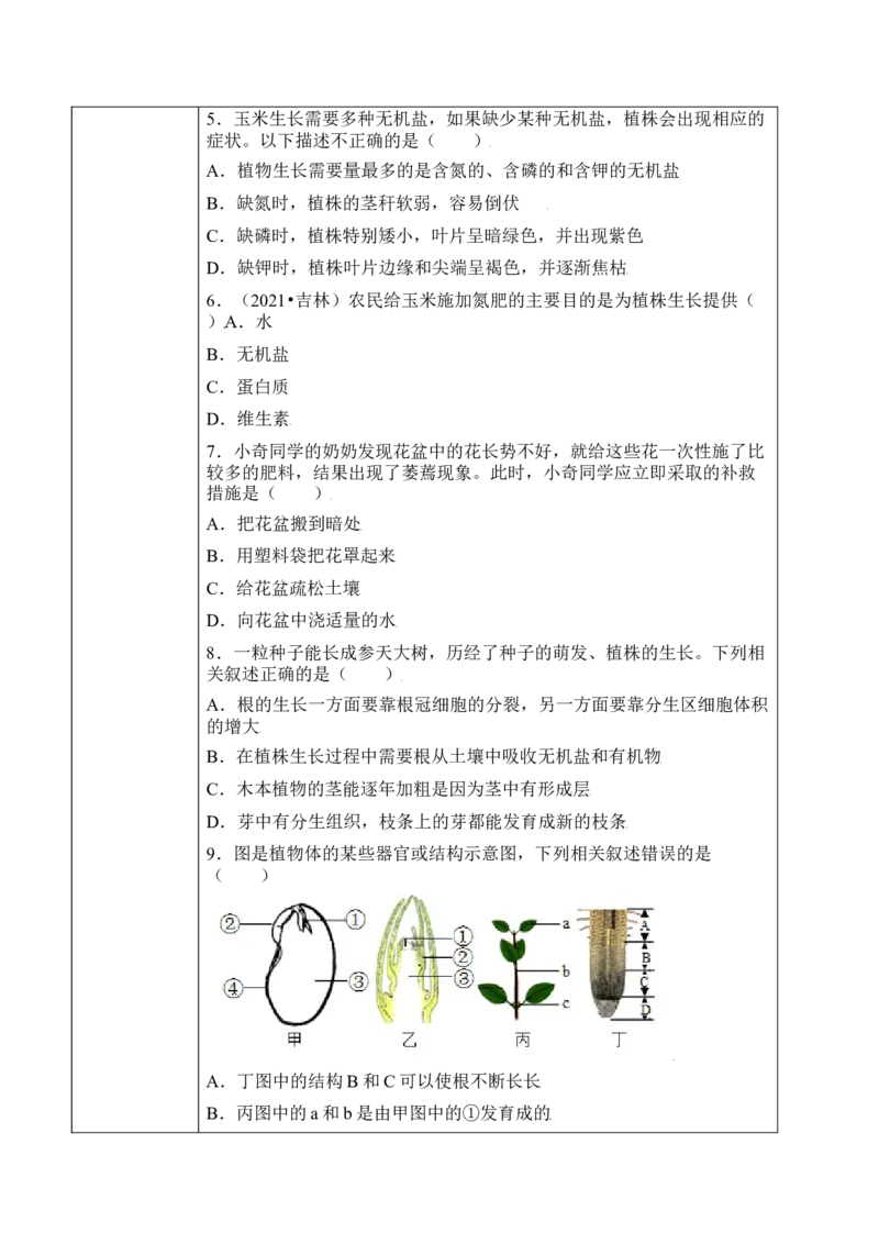 3.2.2植株的生长（学案）-2022-2023学年七年级生物上册同步优质备课资源（人教版）_1、初中学习资料_4-6、生物_4-6-1、初一生物上册_同步练习-138份_1、同步第1套新更新23份